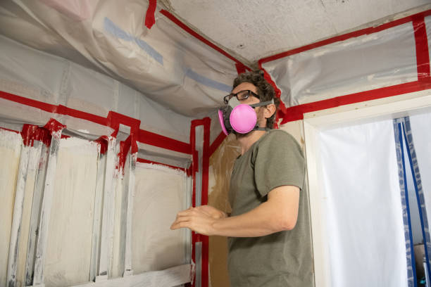 Best Black Mold Removal  in Danville, IA