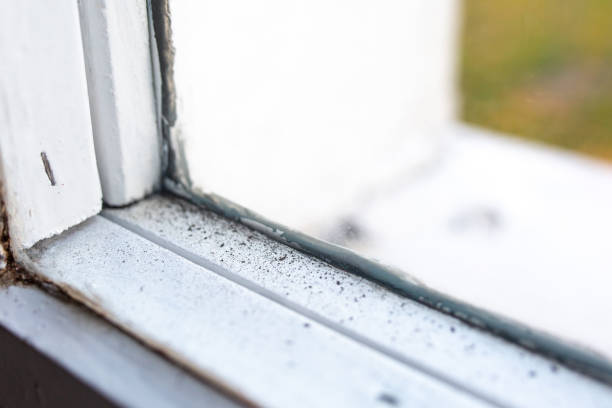 Best Residential Mold Inspection & Testing  in Danville, IA