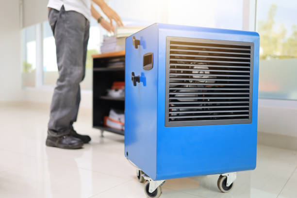 Best Mold Documentation for Insurance Claims  in Danville, IA